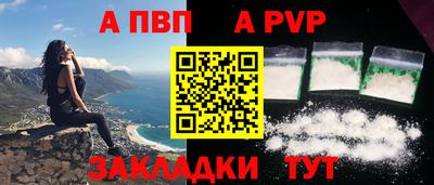 шишки Тверь