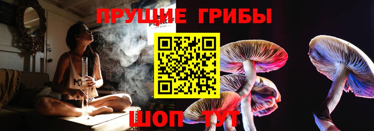 Галлюциногенные грибы MAGIC MUSHROOMS  Вход с VPN  Норильск 